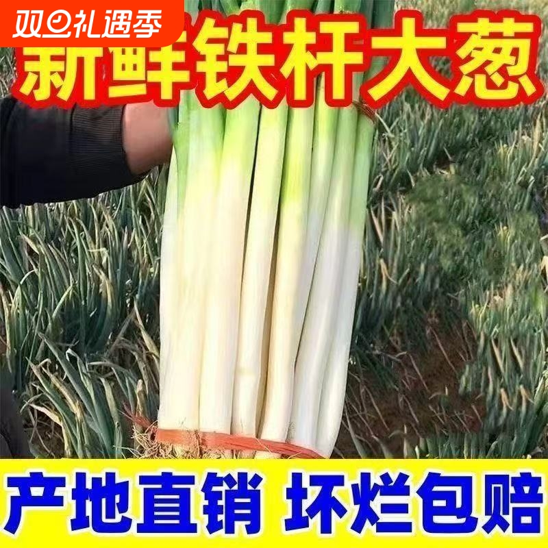 大葱章丘大葱新鲜铁杆长葱正宗山东脆甜香葱头当季蔬菜湿蒜