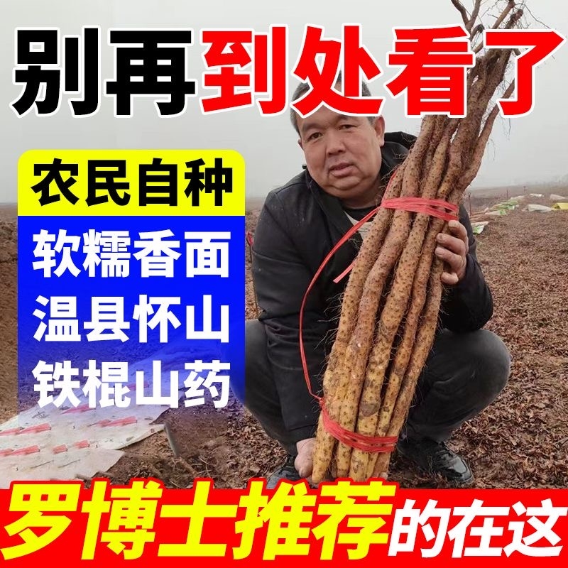 正宗铁棍山药新鲜铁杆淮山药农家小白嘴5斤3斤批发包邮蔬菜怀山