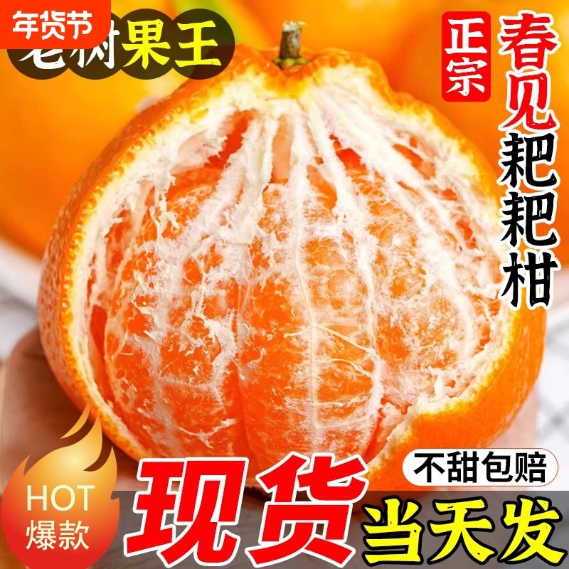 正宗四川春见耙耙柑新鲜水果斤当季整箱丑八怪粑粑柑现摘年货节,水产肉类/新鲜蔬果/熟食,桔子,淘宝优惠券,粉丝福利购,淘宝优惠卷