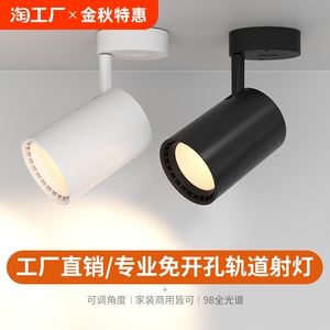 全光谱98显cob明装射灯家用小吸顶式聚光led天花灯筒灯客厅轨道
