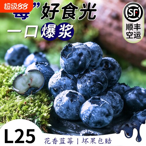 【12盒云南蓝莓钜惠】香甜多汁