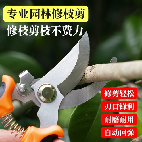 不锈钢耐磨专业园林修枝剪