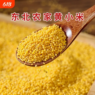 贤农嫂金苗黄小米新米东北农家正宗杂粮小米粥米脂油朝阳小米新鲜