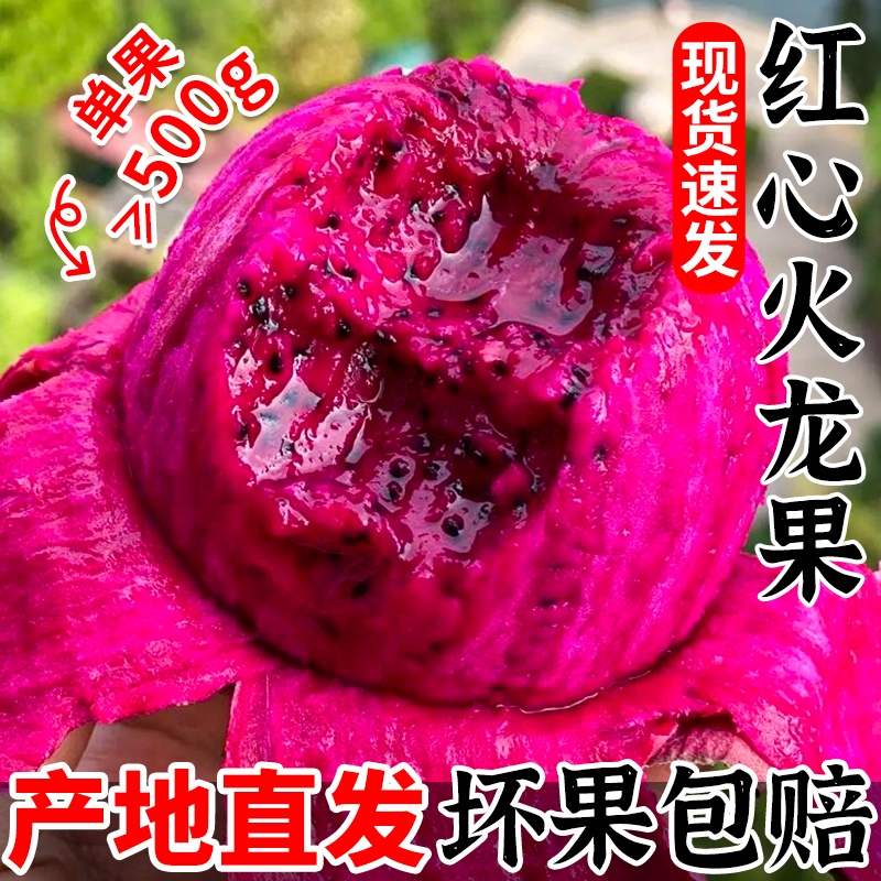 新鲜红心火龙果树熟5斤大果现摘现发超甜当季水果金都一号整箱