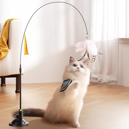 吸盘逗猫棒猫玩具自动懒人猫咪自嗨解闷神器消耗体力羽毛玩具耐咬