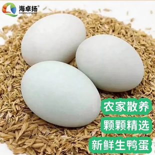 海卓扬生鸭蛋60g-70g农家散养生鸭蛋正宗新鲜河边放养鲜生