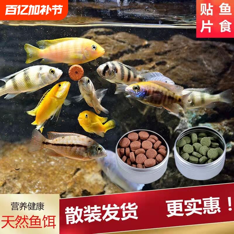 贴片鱼饲料鱼食小型孔雀鱼鱼粮灯鱼斗鱼金鱼热带鱼通用开口丰年虾