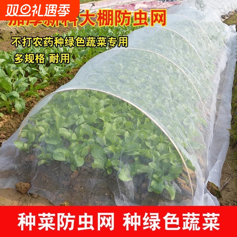 防虫网种菜专用防鸟大棚蔬菜遮虫防虫罩尼龙网纱网植物种植室内