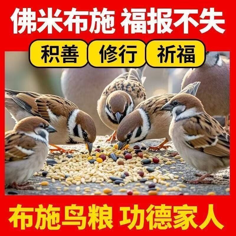 布施鸟专用鸟粮五色黍子鹦鹉斑鸠麻雀喜鹊鸟饲料小型鸟食混合粮食图片
