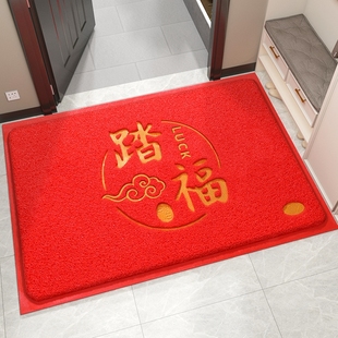 入户门地垫进门门口丝圈脚垫家用玄关蹭土防滑耐脏门垫可裁剪地毯