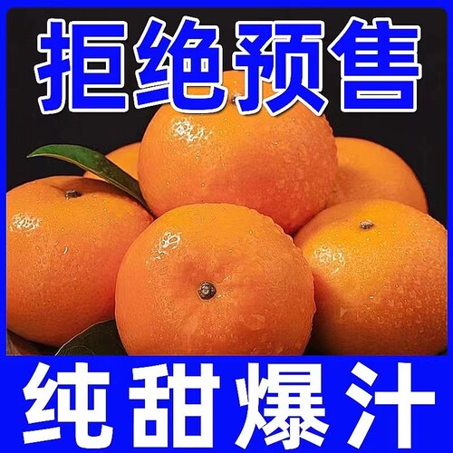 正宗云南沃柑当季新鲜现摘大果柑橘沙糖蜜桔子整箱广西武鸣县纯甜