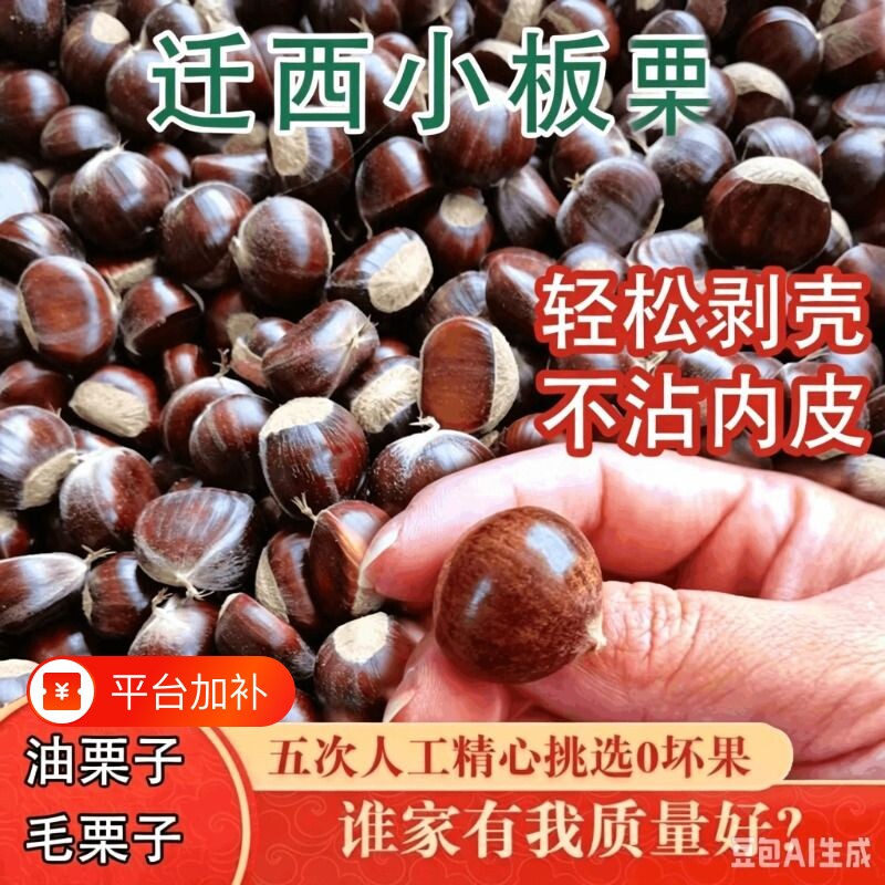 正宗油栗板栗生新鲜新鲜野生油栗子板栗生油栗迁西小板栗野栗带壳