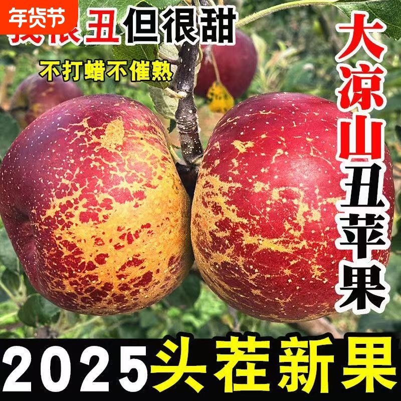 苹果水果新鲜盐源丑苹果大凉山冰糖心孕妇当季整箱包邮四川红富士,水产肉类/新鲜蔬果/熟食,苹果,淘宝优惠券,粉丝福利购,淘宝优惠卷