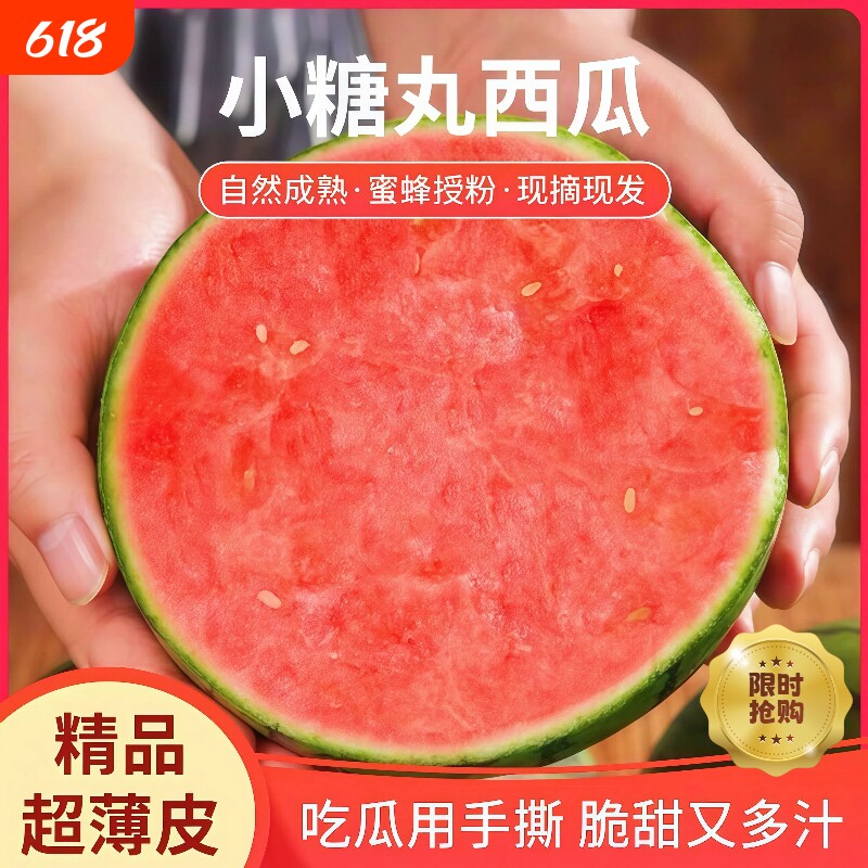正宗糖丸小西瓜现摘当季新鲜水果皮薄超甜2k脆甜多汁时令整箱包邮