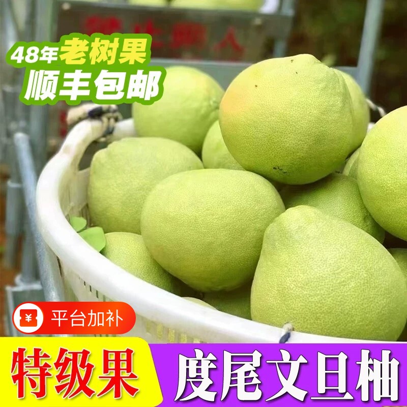 度尾文旦柚正宗红心柚老树精品无洞新鲜柚子孕妇应季时令水果多汁