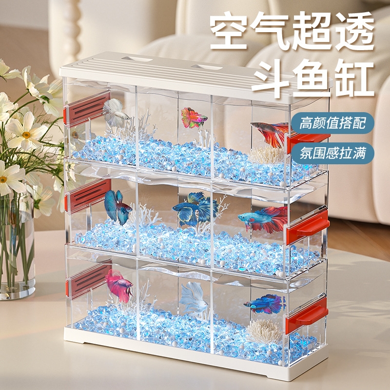 发光生态斗鱼缸客厅小型观赏鱼