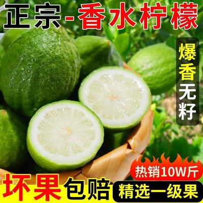 正宗广东香水柠檬新鲜采当季水果