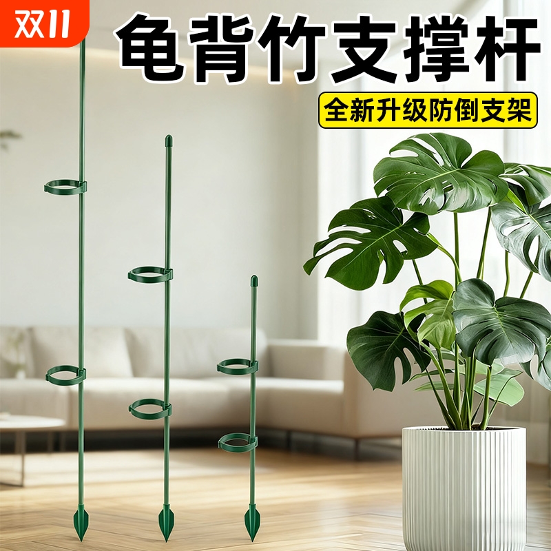 龟背竹防倒伏专用支撑杆
