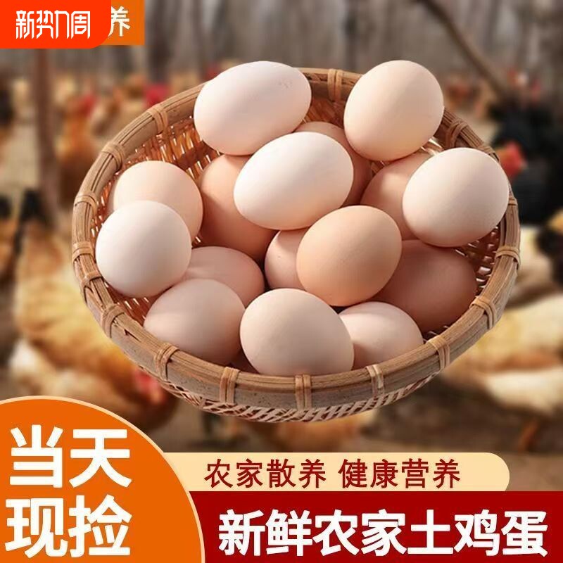 农家鲜鸡蛋土鸡蛋自养大个柴鸡蛋谷物喂养月子蛋农场鸡蛋