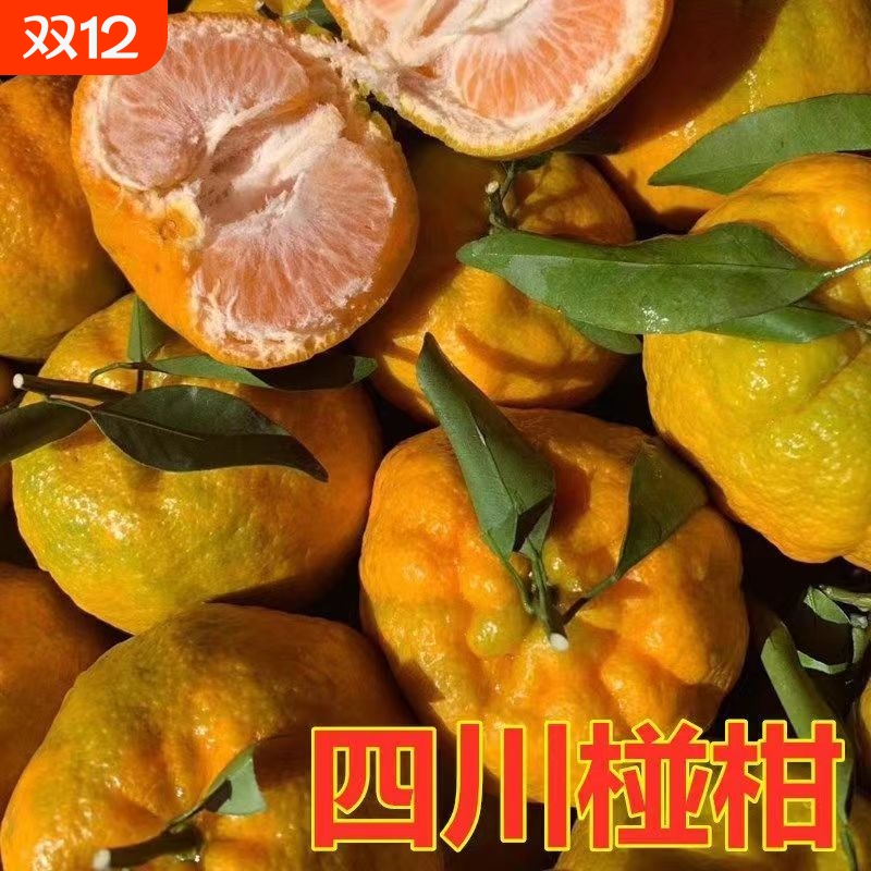 正宗四川椪柑柑桔新鲜水果整箱南方橘子薄皮当季果芦柑碰柑