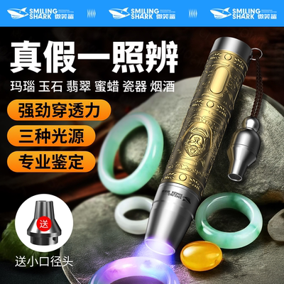 【大师推荐】强穿透三光源检测灯