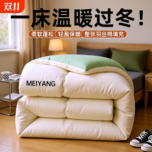 被子四季 通用冬被被芯2025新春秋学生单人宿舍针织纯被褥加厚丝棉