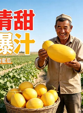 民勤沙漠甜瓜哈蜜瓜金红宝蜜瓜甜蜜多汁产地直发皮薄饱满多网纹