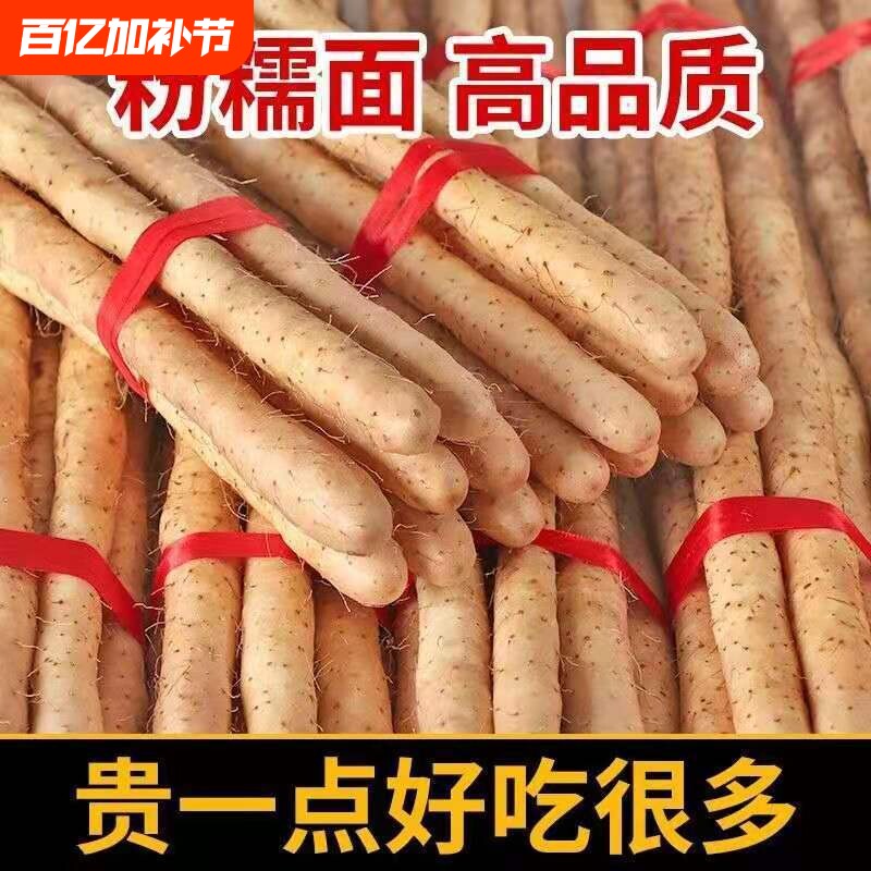 正宗小白嘴山药软糯甘甜新鲜蔬菜铁杆怀山药淮山药非温县垆土铁棍