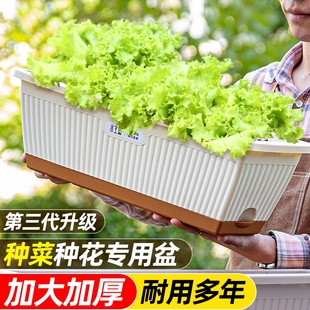 花沐鱼阳台种菜盆长方形塑料花盆家用长条专用盆种植箱种花栏杆