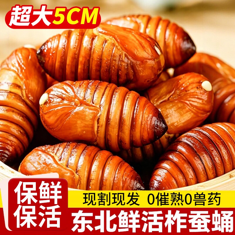 东北蚕蛹鲜活新鲜大个蝉蛹蚕特产黑黄蝉蛹生鲜高蛋白美食 柞蚕2斤