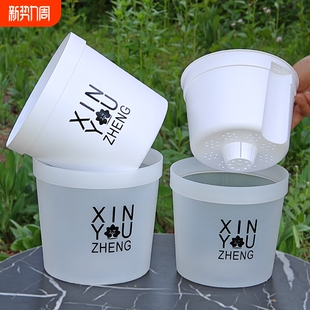 半透明绿萝水培花盆双层套盆桌面加厚盆栽储水免浇懒人家用爆款 盆
