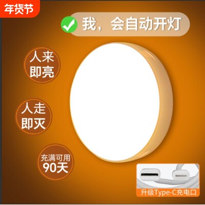 【人来灯亮人走灯灭感应夜灯】