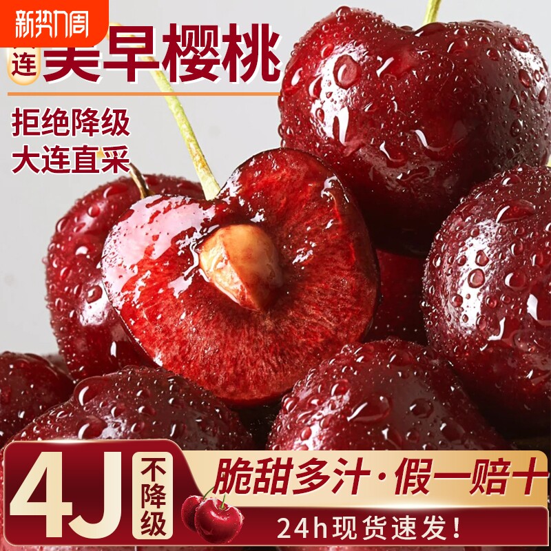 大连美早大樱桃新鲜水果包邮5斤礼盒当季3j国产孕妇5j车厘子顺丰