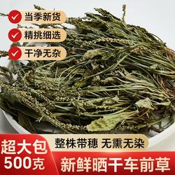 车前草野生干货官方旗舰店正品500g泡水喝整株中药材夏枯草新鲜