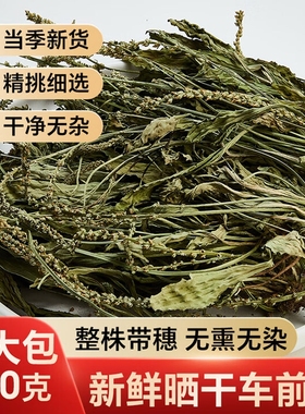 车前草野生干货官方旗舰店正品500g泡水喝整株中药材夏枯草新鲜