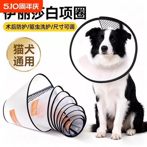 宠物头套狗圈猫圈狗脖套宠物防咬