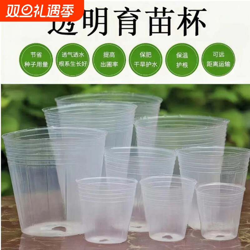 蝴蝶兰专用种植透明育苗杯育苗钵营养钵兰花石斛兰盆营养杯透明