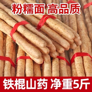 正宗垆土铁棍山药正宗河北新鲜生铁杆怀山淮山药特产淮山药