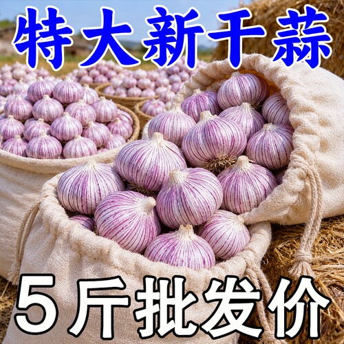 【今年新蒜】山东金乡紫皮新干蒜