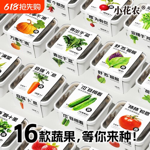 小花农四季蔬果种植盒