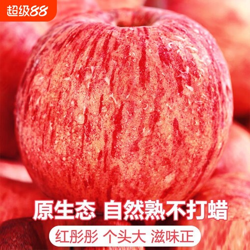 新果高山老树烟台山东红富士苹果