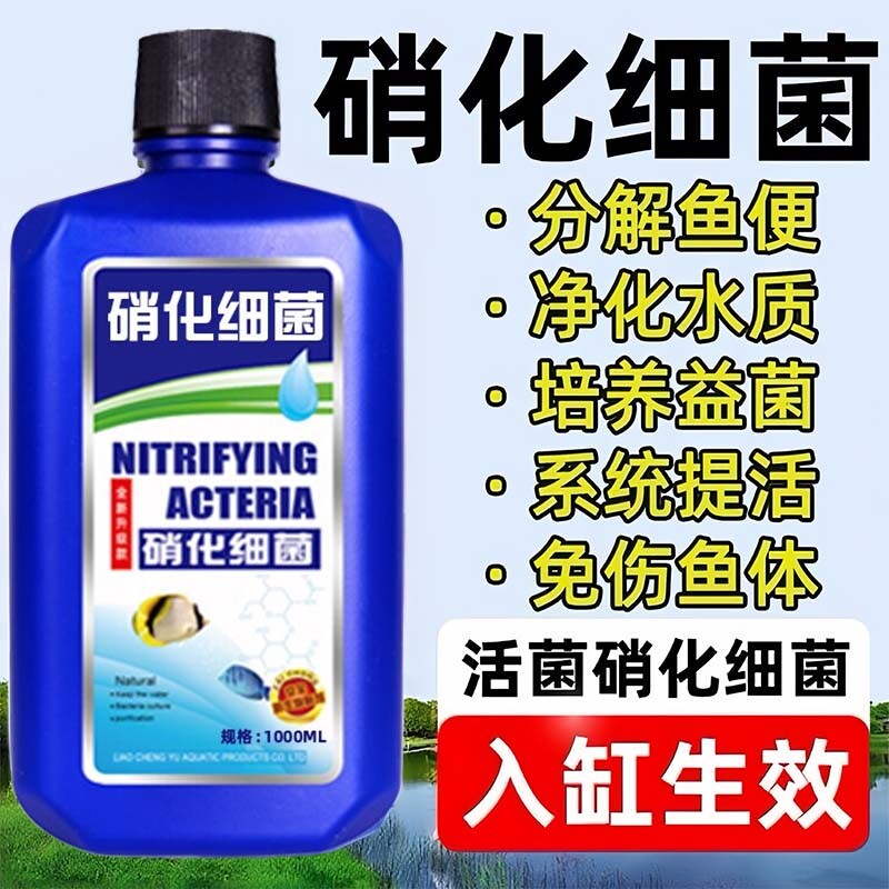 硝化细菌鱼缸用净水剂鱼药养鱼净化水质稳定剂鱼粪消化活菌液水族
