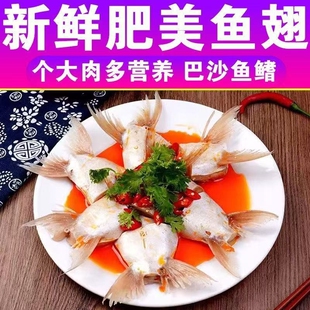 新鲜巴沙鱼鳍冷冻鱼翅鱼鳍回鱼下巴巴沙鱼翅鱼下巴家庭装鱼翅冷冻