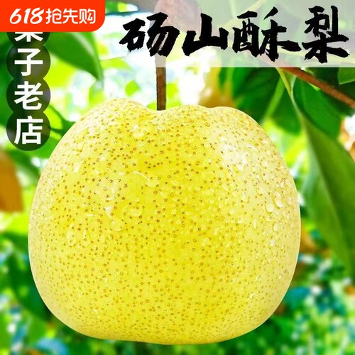 酥梨砀山梨汤山梨10斤现摘梨子香雪梨应季水果梨新鲜整箱包邮新鲜