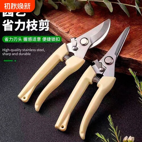 剪枝果树修枝剪刀园艺修剪