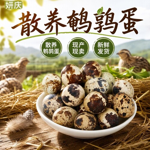新鲜鹌鹑蛋生蛋绿色杂粮生鲜蛋孕妇宝宝辅食鹌鹑蛋鹑鸟蛋鲜鹌鹑蛋