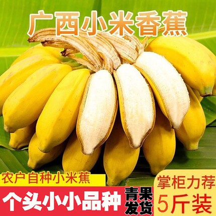 福利广西正宗小米蕉拇指蕉鸡蕉新鲜应季孕妇水果自然熟各地现摘