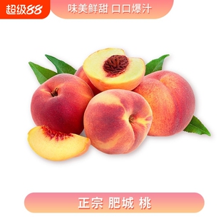 正宗肥城桃新鲜现摘大红袍玉妃莱山蜜桃大果整箱包邮正宗鲜果