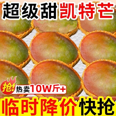 四川攀枝花凯特芒果5-9斤