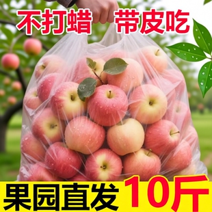 红富士大果冰糖心丑平苹果斤10 包邮 苹果水果新鲜应当季 一整箱脆甜